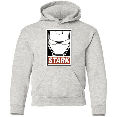 Sweatshirts Ash / YS Obey Stark Youth Hoodie