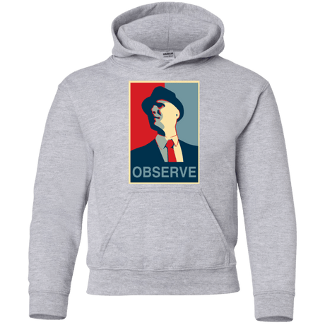 Sweatshirts Sport Grey / YS Observe Youth Hoodie