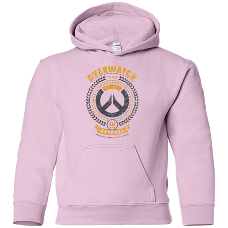 Sweatshirts Light Pink / YS Offense Team Youth Hoodie