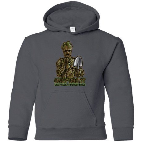 Sweatshirts Charcoal / YS Only Groot Youth Hoodie