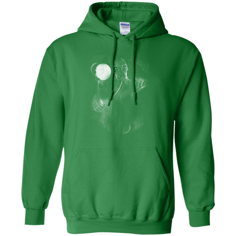Sweatshirts Irish Green / Small Ood Pullover Hoodie