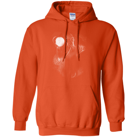 Sweatshirts Orange / Small Ood Pullover Hoodie