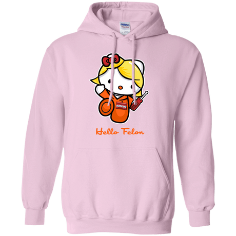 Sweatshirts Light Pink / Small Orange is the New Cat Pullover Hoodie