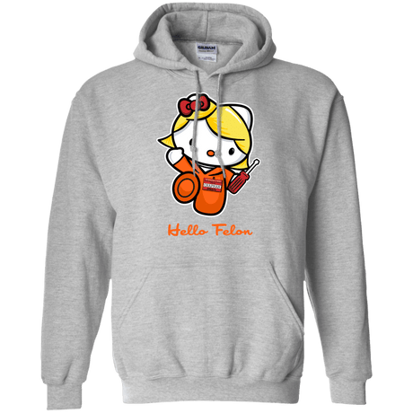 Sweatshirts Sport Grey / Small Orange is the New Cat Pullover Hoodie