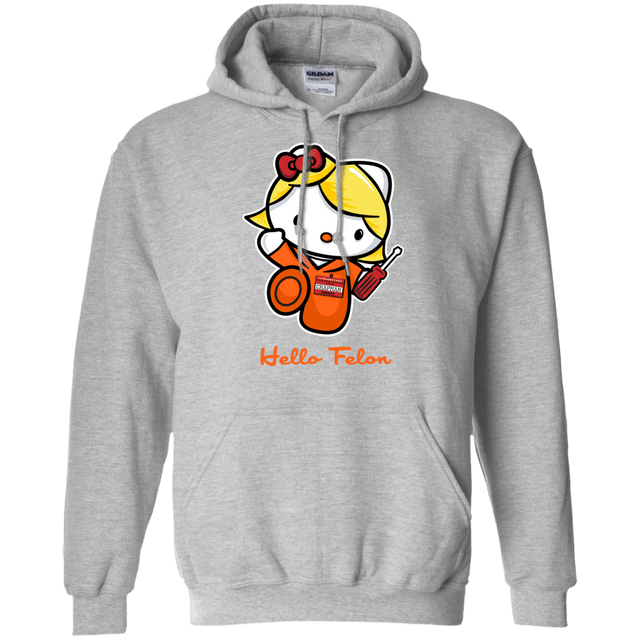 Sweatshirts Sport Grey / Small Orange is the New Cat Pullover Hoodie