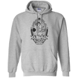 Sweatshirts Sport Grey / S Organa Ale Pullover Hoodie