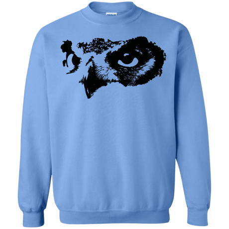 Sweatshirts Carolina Blue / S Owl Eyes Crewneck Sweatshirt