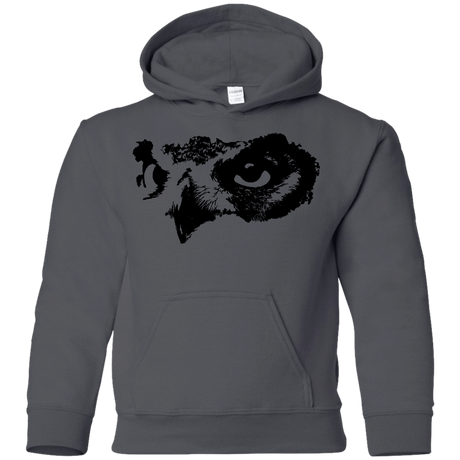 Sweatshirts Charcoal / YS Owl Eyes Youth Hoodie
