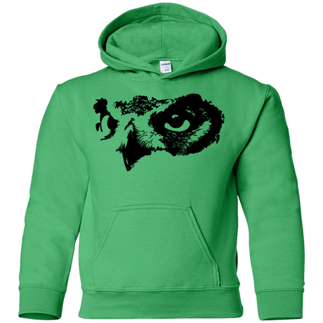 Sweatshirts Irish Green / YS Owl Eyes Youth Hoodie