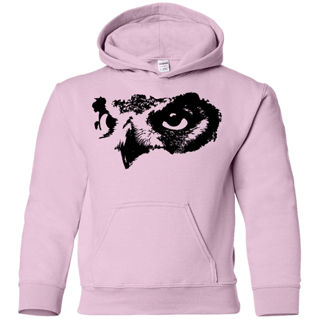 Sweatshirts Light Pink / YS Owl Eyes Youth Hoodie
