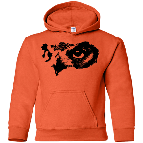 Sweatshirts Orange / YS Owl Eyes Youth Hoodie