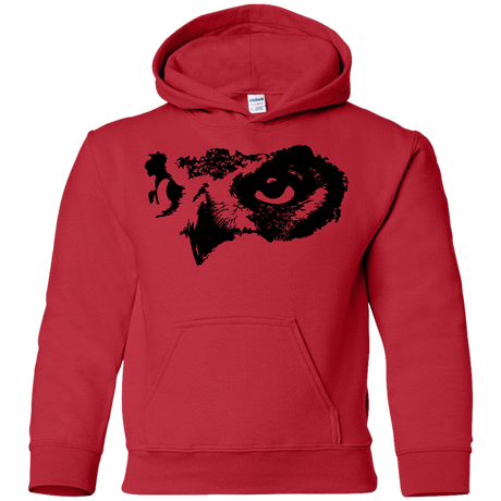 Sweatshirts Red / YS Owl Eyes Youth Hoodie