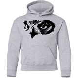 Sweatshirts Sport Grey / YS Owl Eyes Youth Hoodie