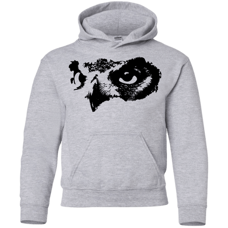 Sweatshirts Sport Grey / YS Owl Eyes Youth Hoodie