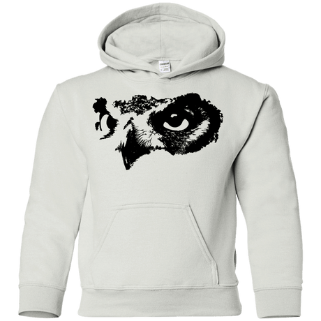 Sweatshirts White / YS Owl Eyes Youth Hoodie
