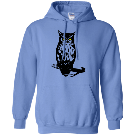 Sweatshirts Carolina Blue / S Owl Portrait Pullover Hoodie