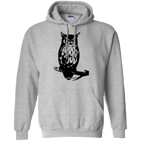 Sweatshirts Sport Grey / S Owl Portrait Pullover Hoodie