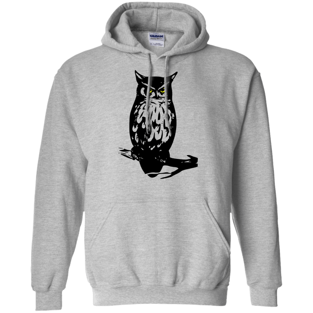 Sweatshirts Sport Grey / S Owl Portrait Pullover Hoodie