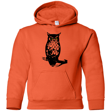 Sweatshirts Owl Portrait Youth Hoodie