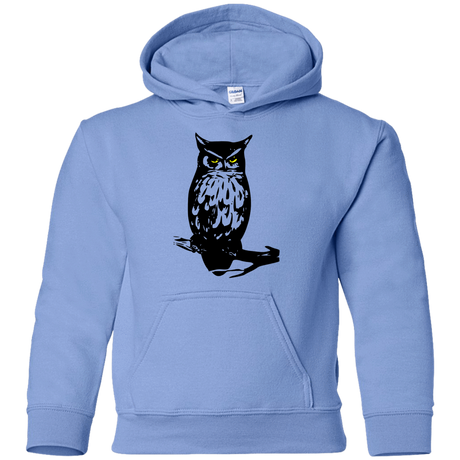 Sweatshirts Carolina Blue / YS Owl Portrait Youth Hoodie