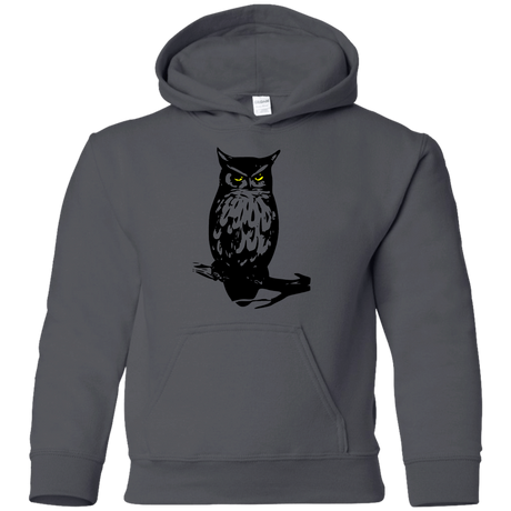 Sweatshirts Charcoal / YS Owl Portrait Youth Hoodie