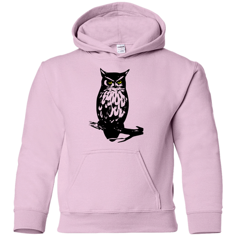 Sweatshirts Light Pink / YS Owl Portrait Youth Hoodie