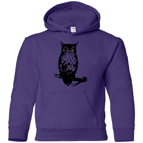 Sweatshirts Purple / YS Owl Portrait Youth Hoodie