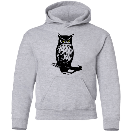 Sweatshirts Sport Grey / YS Owl Portrait Youth Hoodie