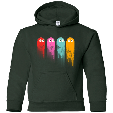 Sweatshirts Forest Green / YS Pac color ghost Youth Hoodie