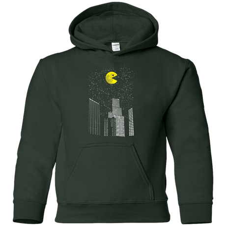 Sweatshirts Forest Green / YS Pac-World Youth Hoodie