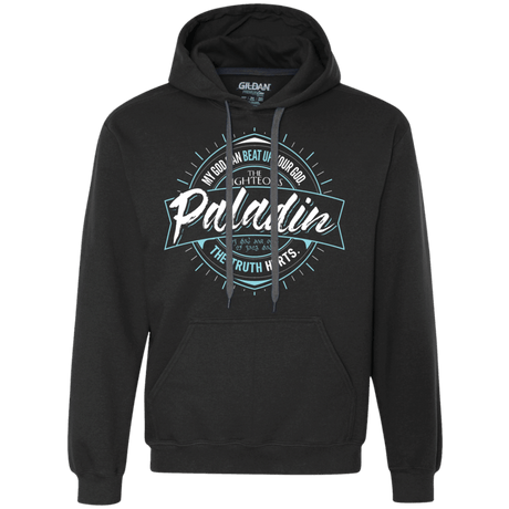 Sweatshirts Black / S Paladin Premium Fleece Hoodie