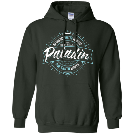 Sweatshirts Forest Green / S Paladin Pullover Hoodie