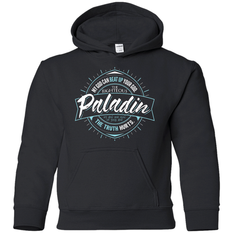 Sweatshirts Black / YS Paladin Youth Hoodie