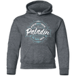 Sweatshirts Dark Heather / YS Paladin Youth Hoodie