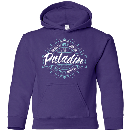 Sweatshirts Purple / YS Paladin Youth Hoodie