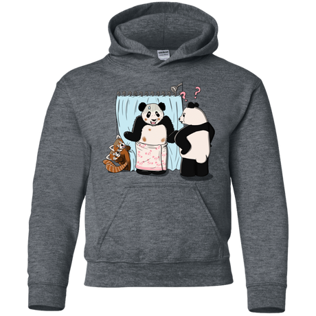 Sweatshirts Dark Heather / YS Panda Infidelity Youth Hoodie