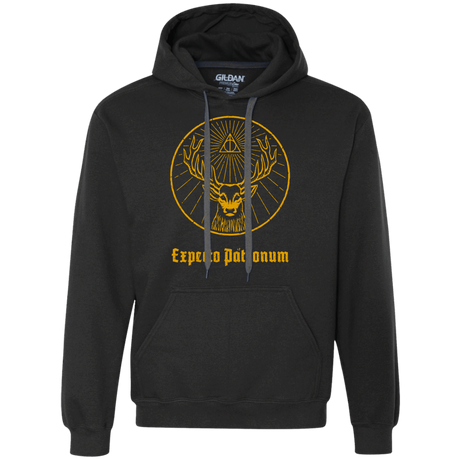 Sweatshirts Black / Small Patronumeister House Premium Fleece Hoodie