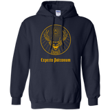 Sweatshirts Navy / Small Patronumeister House Pullover Hoodie