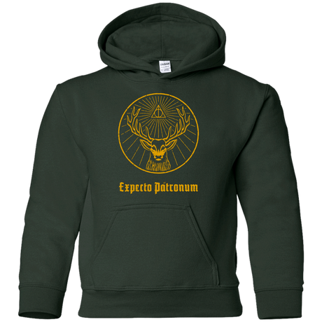 Sweatshirts Forest Green / YS Patronumeister House Youth Hoodie