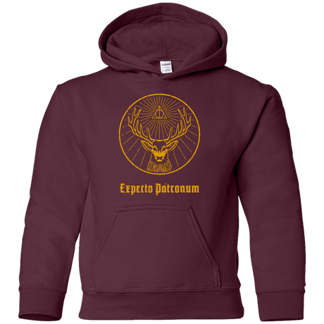 Sweatshirts Maroon / YS Patronumeister House Youth Hoodie