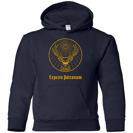 Sweatshirts Navy / YS Patronumeister House Youth Hoodie