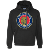 Sweatshirts Black / Small Paulannister Premium Fleece Hoodie