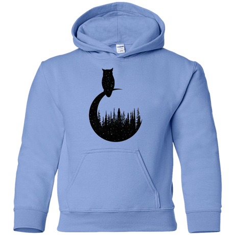 Sweatshirts Carolina Blue / YS Perched Owl Youth Hoodie