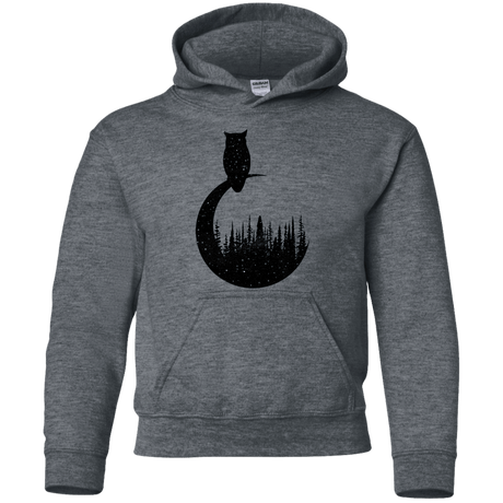 Sweatshirts Dark Heather / YS Perched Owl Youth Hoodie