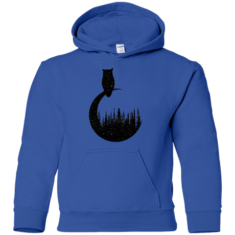 Sweatshirts Royal / YS Perched Owl Youth Hoodie