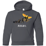Sweatshirts Charcoal / YS Phoenix Evolution Youth Hoodie