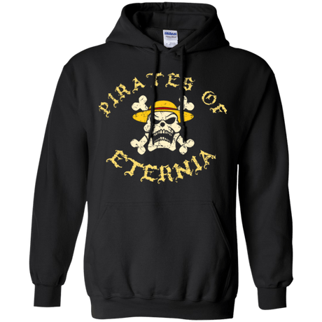 Sweatshirts Black / Small Pirates of Eternia Pullover Hoodie