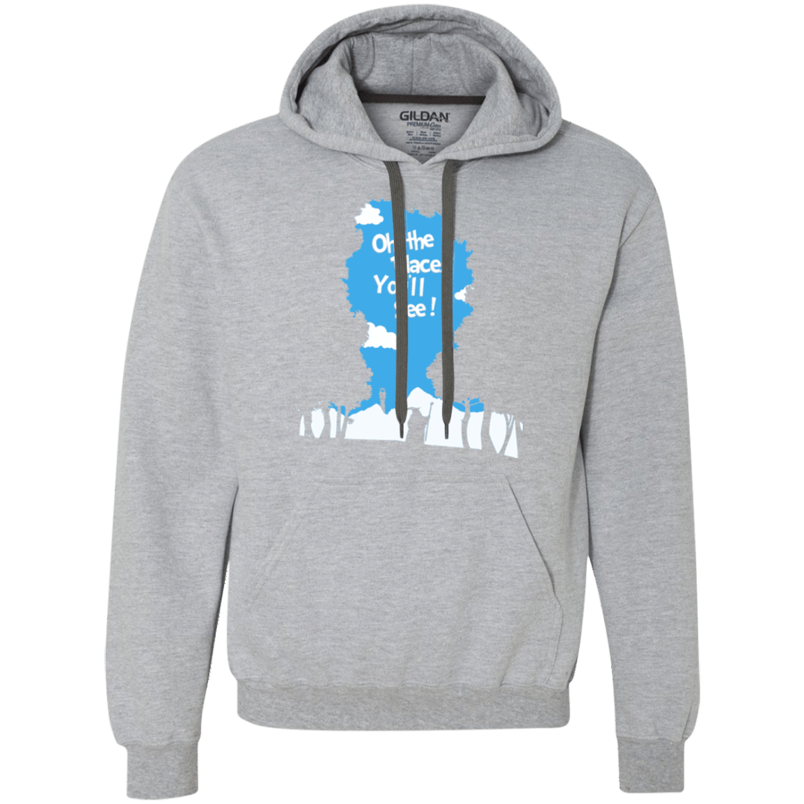 Sweatshirts Sport Grey / Small Places Youll See Premium Fleece Hoodie