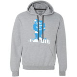 Sweatshirts Sport Grey / Small Places Youll See Premium Fleece Hoodie