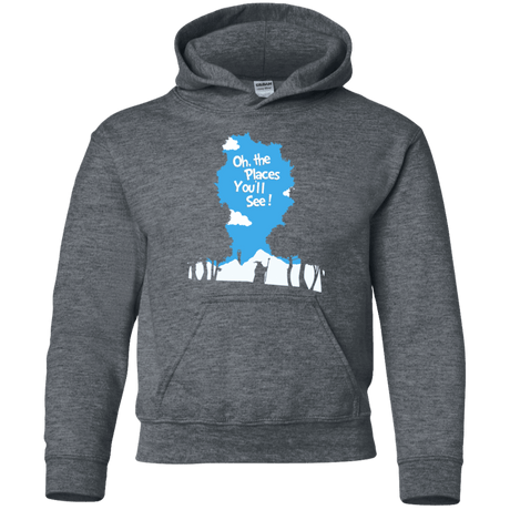 Sweatshirts Dark Heather / YS Places Youll See Youth Hoodie
